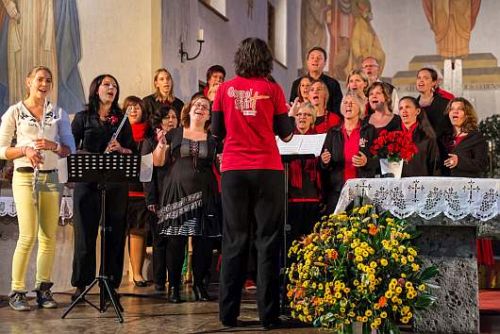 Wifo Night Tour 2013